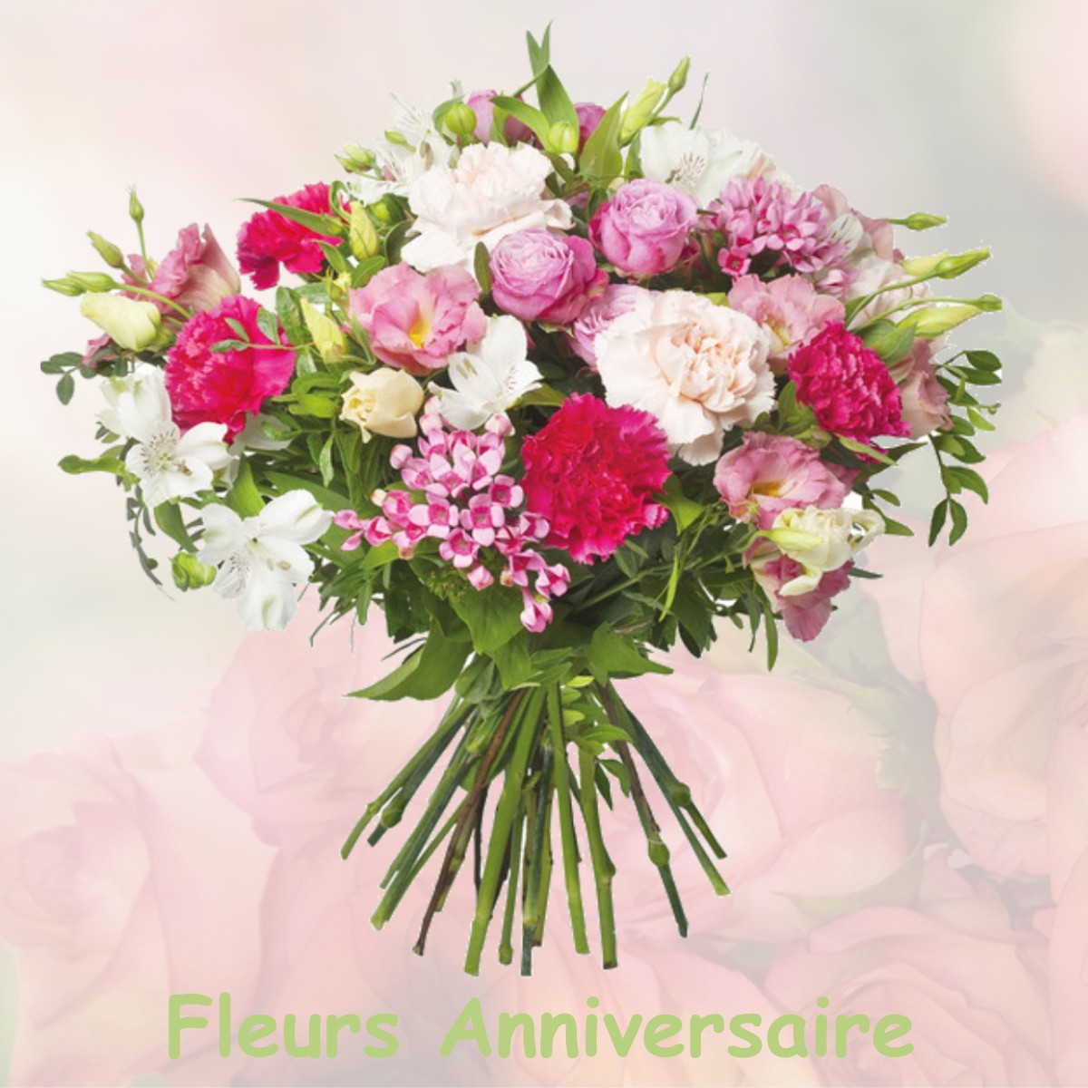 fleurs anniversaire MONDONVILLE