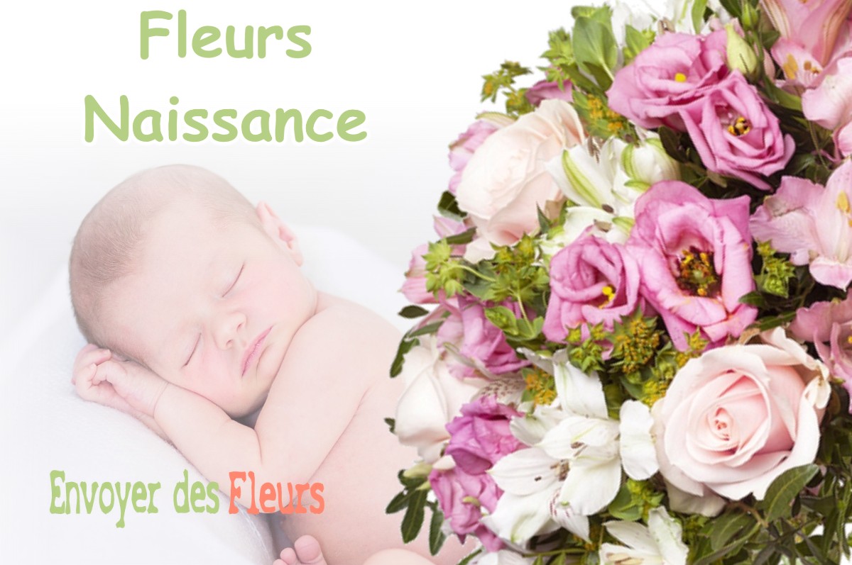 lIVRAISON FLEURS NAISSANCE à MONDONVILLE