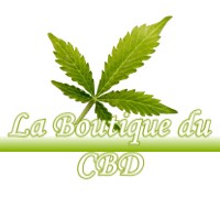 LA BOUTIQUE DU CBD MONDONVILLE 